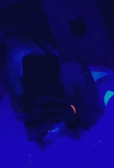 Vídeo de Rosmary